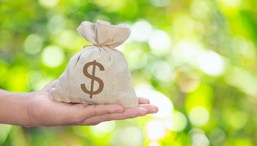 Vay tín chấp cùng lúc 2-3 ngân hàng được không?