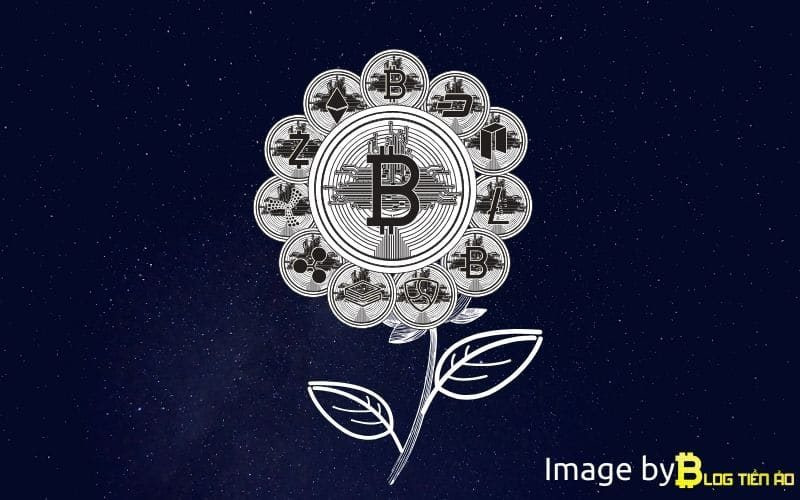 Altcoin là gì? Altcoin sẽ thay thế Bitcoin trong tương lai?