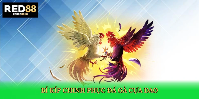 bi-kip-chinh-phuc-da-ga-cua-dao-4