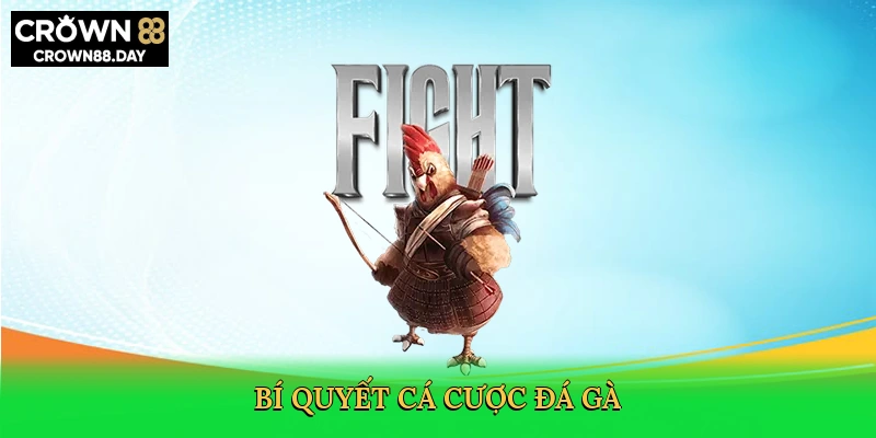 bi-quyet-ca-cuoc-da-ga-4