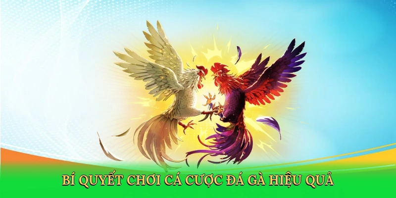 Đá Gà Red88 – Chinh Phục Sàn Đấu Kịch Tính Cùng RED88