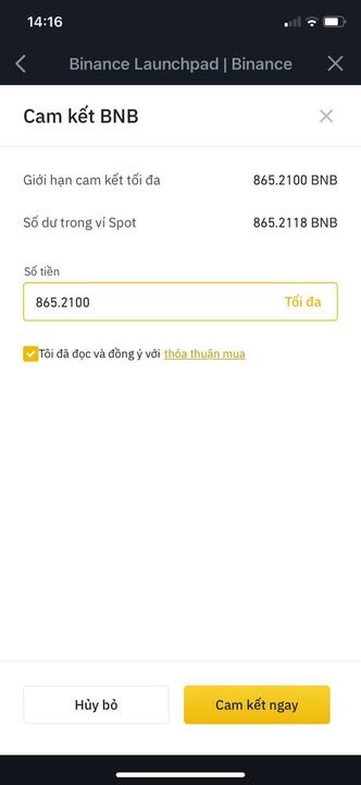 Binance Launchpad là gì? Hướng dẫn cách mua IEO trên sàn Binance