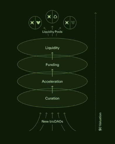 Bio Protocol (BIO) là gì? Dự án khoa học phi tập trung được Binance Labs đầu tư