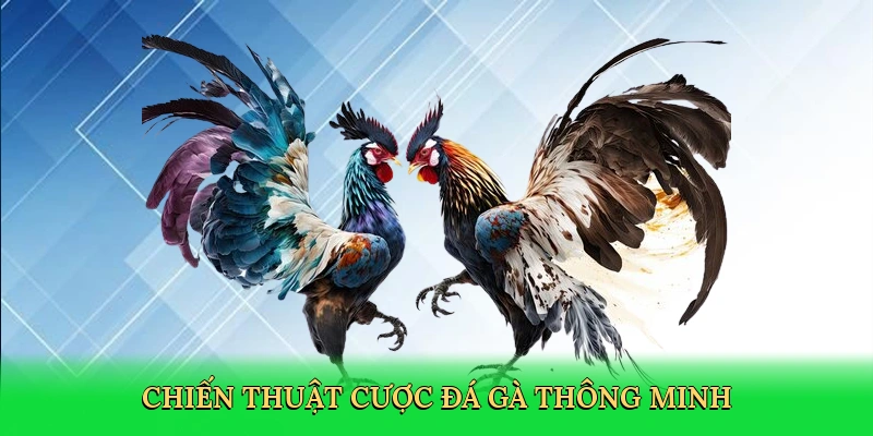 Đá Gà Tre – Hành Trình Giải Trí Đậm Chất Văn Hóa Tại W388