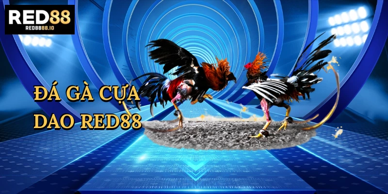 da-ga-cua-dao-red88-1