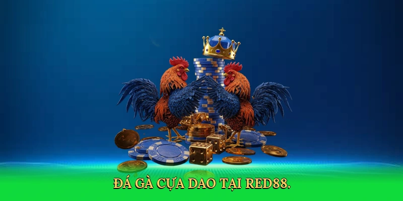 Đá Gà Cựa Dao: Cá Cược Kịch Tính Cùng RED88