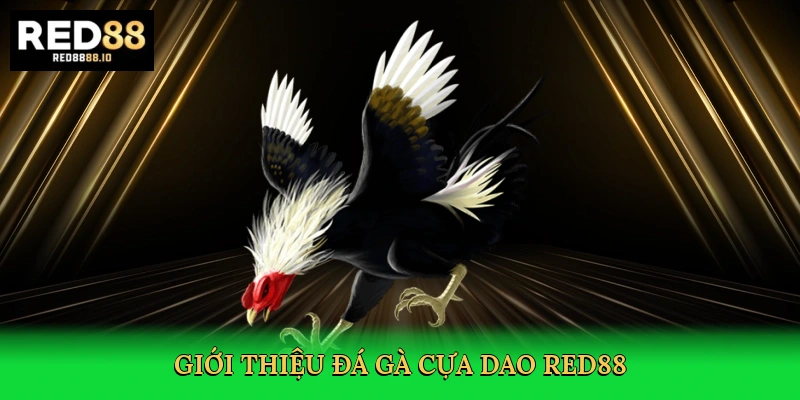 gioi-thieu-da-ga-cua-dao-red88-2
