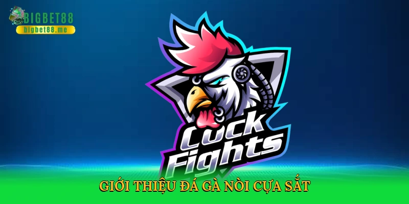 Đá Gà Nòi Cựa Sắt Bigbet88 – Đấu Trường Cá Cược Kịch Tính 2025