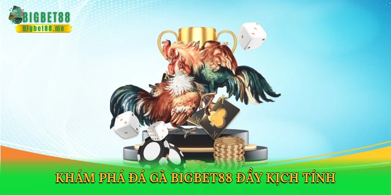 Đá Gà Nòi Cựa Sắt Bigbet88 – Đấu Trường Cá Cược Kịch Tính 2025