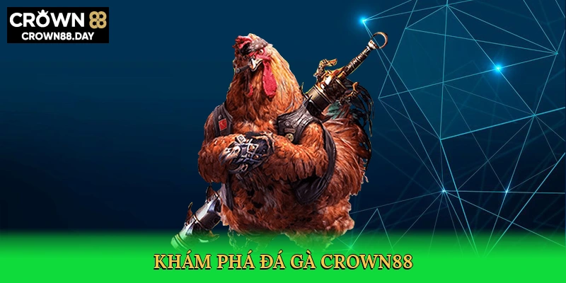 kham-pha-da-ga-crown88-2