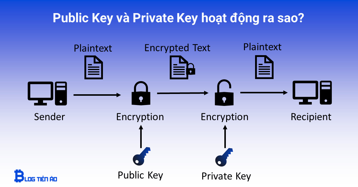 Private key và public key là gì? Làm thế nào để bảo mật ví tiền điện tử?