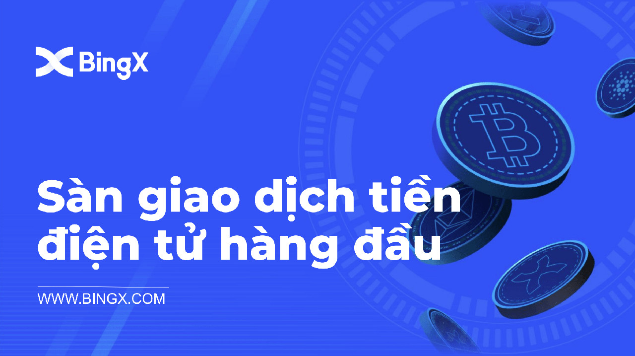Sàn BingX là gì? Hướng đăng ký & sử dụng toàn tập từ A-Z