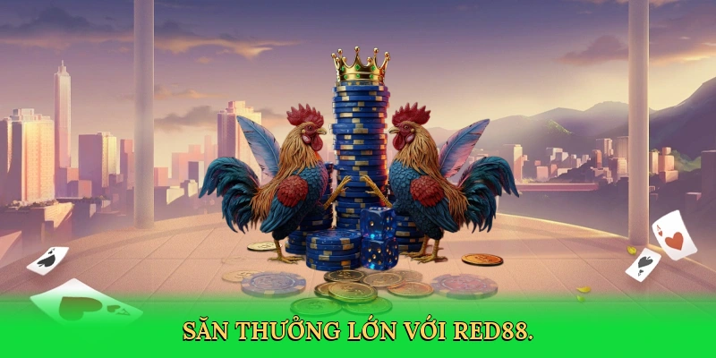 Đá Gà Cựa Dao: Cá Cược Kịch Tính Cùng RED88