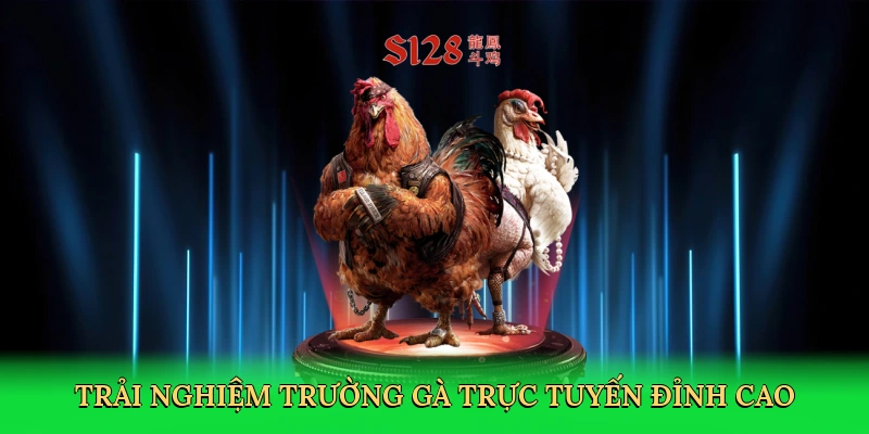 Đá Gà Tre – Hành Trình Giải Trí Đậm Chất Văn Hóa Tại W388