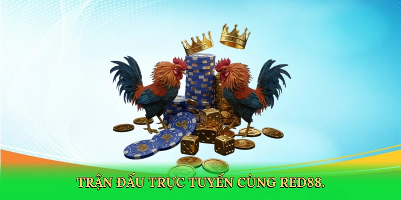 Đá Gà Cựa Dao: Cá Cược Kịch Tính Cùng RED88