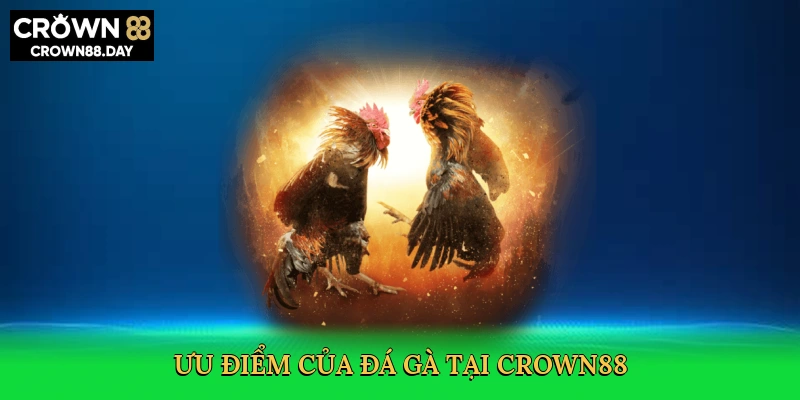 uu-diem-cua-da-ga-tai-crown88-3