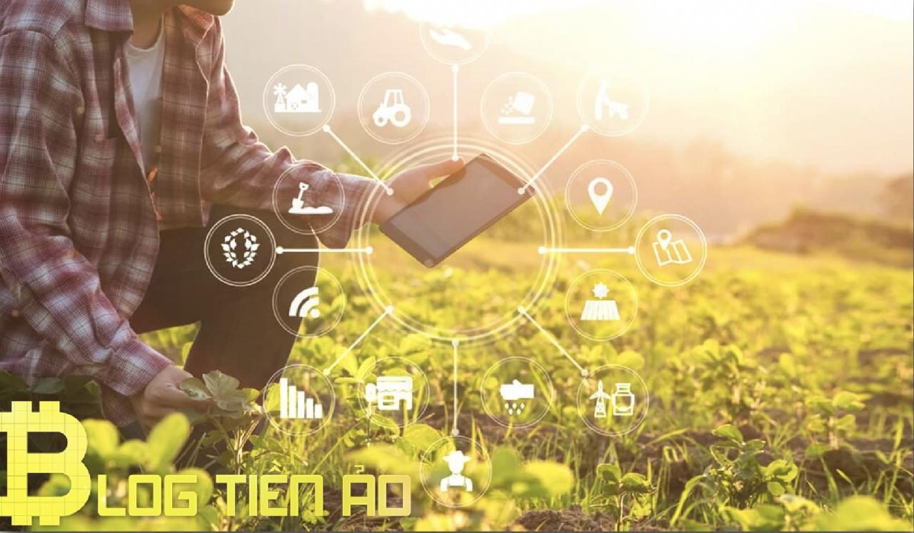 Yield Farming là gì? Nó đóng vai trò gì trong DeFi? (Nên đọc)