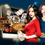 Cách Chơi Xì Tố 7 Cây: Chiến Thắng Kịch Tính Cùng Good88